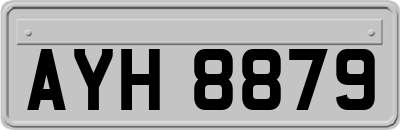 AYH8879