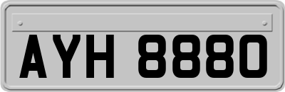 AYH8880