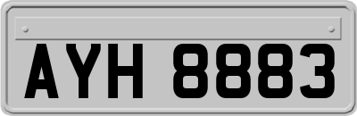 AYH8883