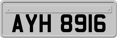 AYH8916