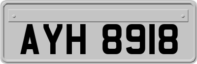 AYH8918