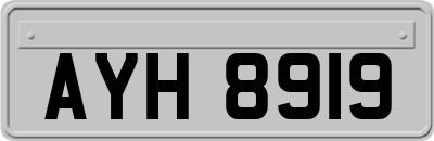 AYH8919
