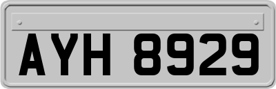 AYH8929