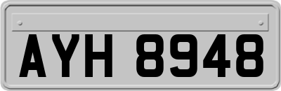 AYH8948
