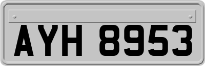 AYH8953