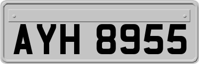 AYH8955