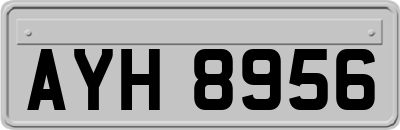 AYH8956