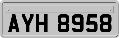 AYH8958