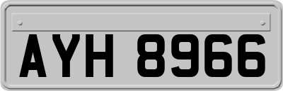 AYH8966