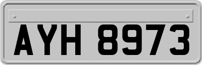 AYH8973