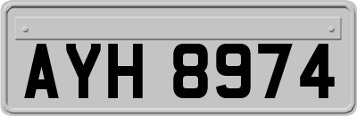 AYH8974