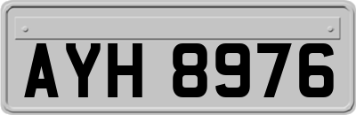AYH8976