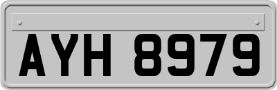 AYH8979