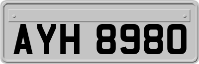 AYH8980