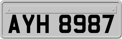 AYH8987