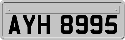 AYH8995