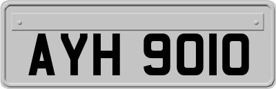 AYH9010