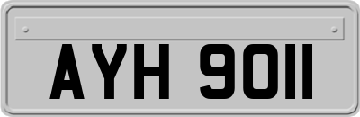 AYH9011