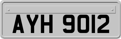 AYH9012