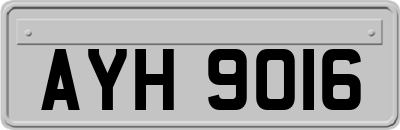 AYH9016
