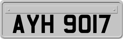 AYH9017