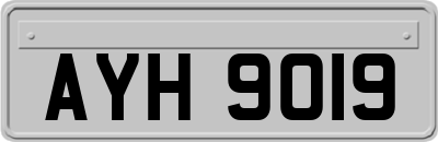AYH9019
