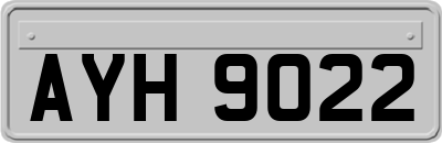 AYH9022
