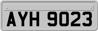 AYH9023