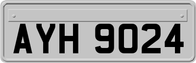 AYH9024
