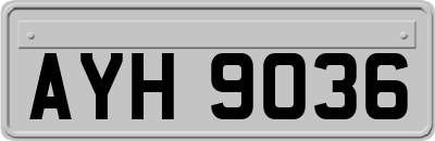 AYH9036