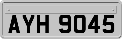 AYH9045