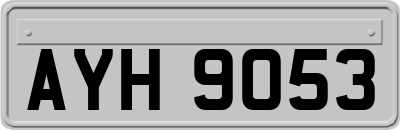 AYH9053