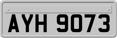 AYH9073