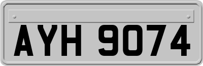 AYH9074