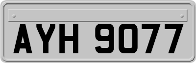 AYH9077