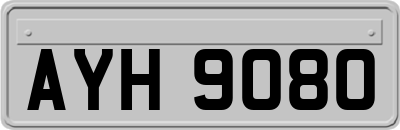 AYH9080