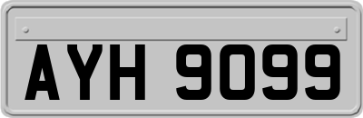AYH9099