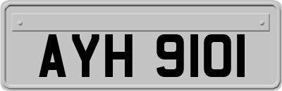 AYH9101