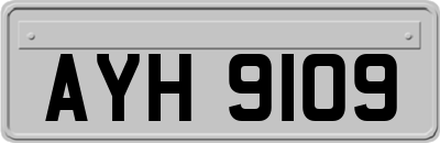 AYH9109