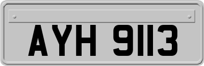 AYH9113