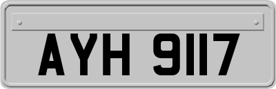 AYH9117