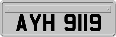 AYH9119