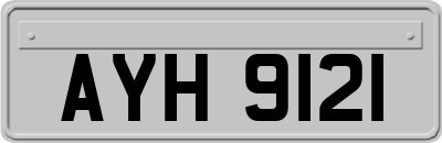 AYH9121