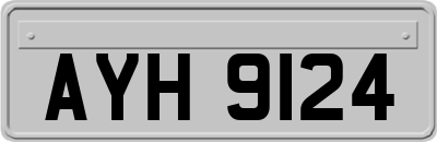 AYH9124