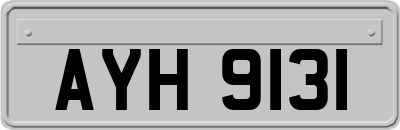 AYH9131
