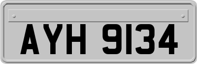 AYH9134