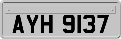 AYH9137
