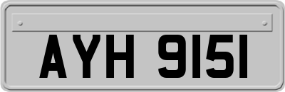 AYH9151