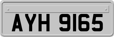 AYH9165