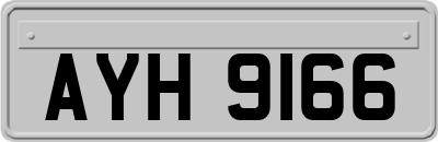 AYH9166